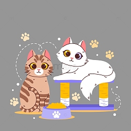 两只家养宠物猫