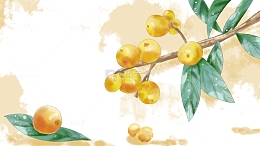 枇杷果手绘插画元素