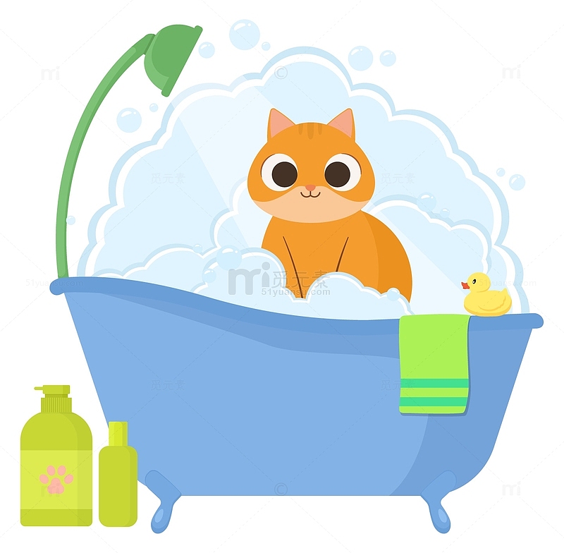 沐浴宠物猫洗浴