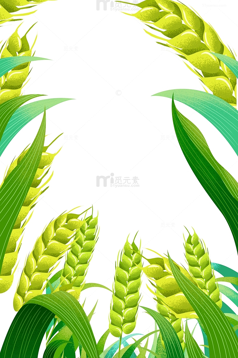 卡通彩绘麦穗小麦叶子