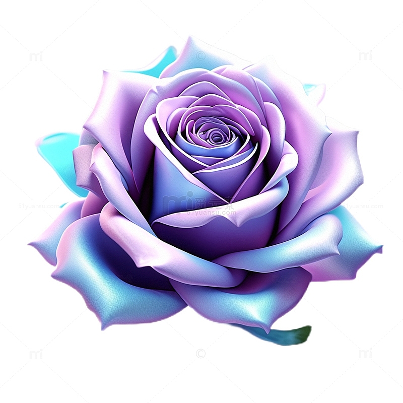 3D立体真实花朵蓝紫色玫瑰