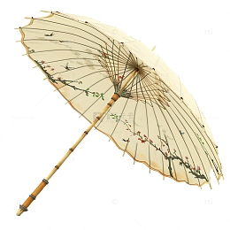 中国风油纸伞谷雨时节