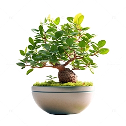 3D立体真实发财树盆栽植物