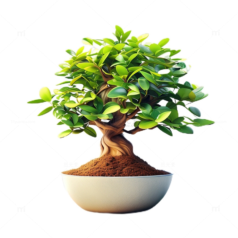 3D立体真实发财树盆栽植物观赏绿色