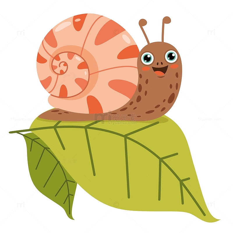 卡通树叶上的蜗牛