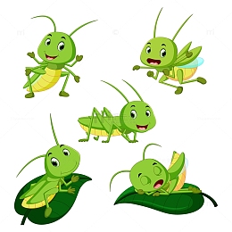 卡通蚱蜢动物组合