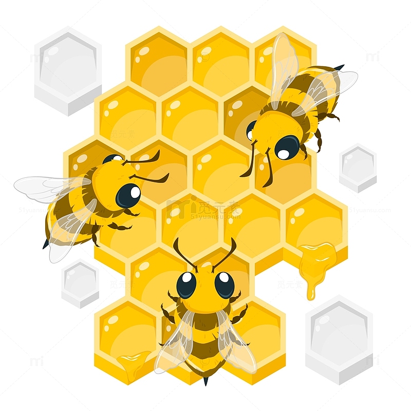 手绘蜜蜂蜂窝插图