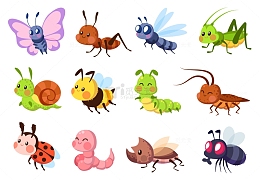 虫子生物蜜蜂瓢虫