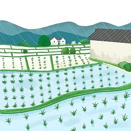 稻田农田耕地手绘谷雨节气庄家插秧