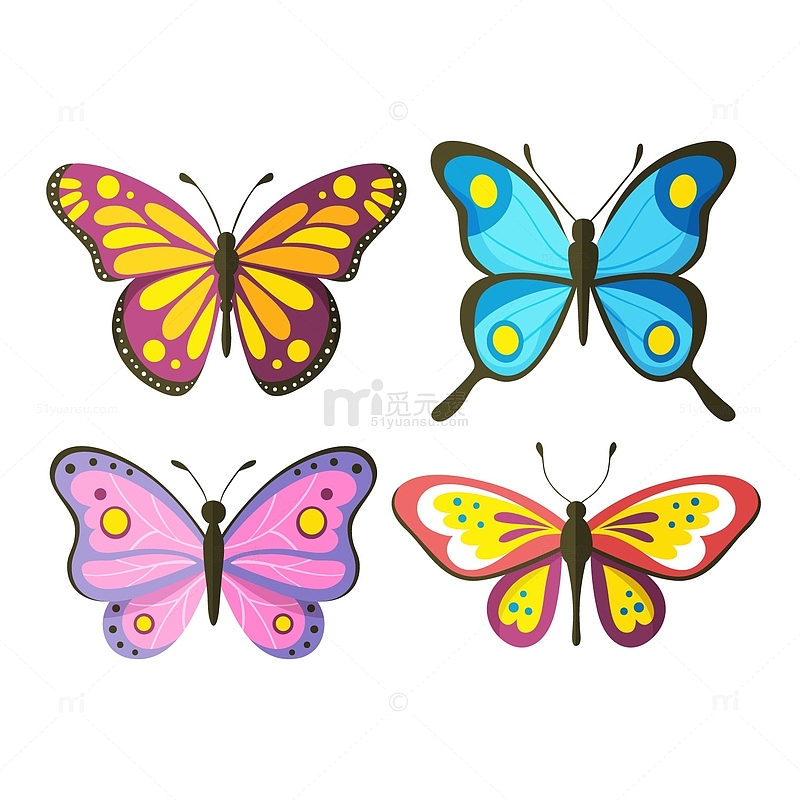 彩色蝴蝶动物组合