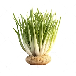 3D立体卡通蒜苗食材绿色植物