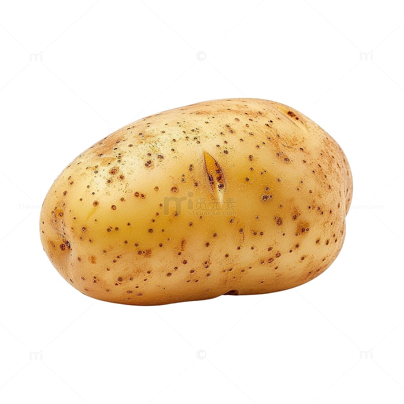 土豆马铃薯洋芋