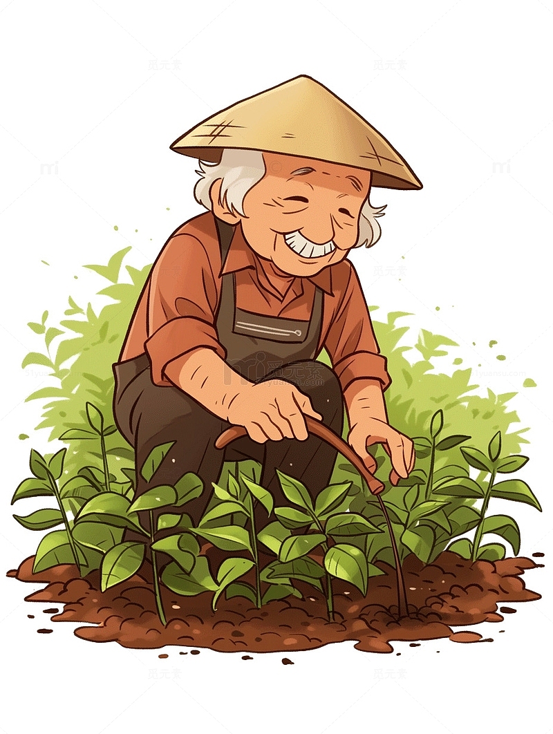 老奶奶在种植