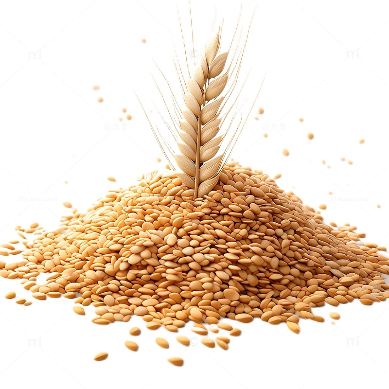 3D立体卡通小麦麦穗成熟粮食
