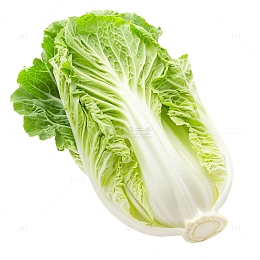 一颗大白菜照片