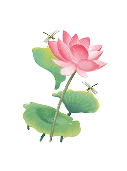 手绘卡通蜻蜓荷叶花朵花朵花瓣