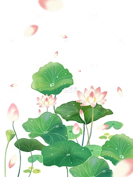 手绘插画荷花荷塘元素