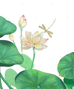 荷花唯美荷叶手绘元素