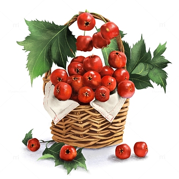 png卡通果篮水果西瓜手绘素材装饰元素aipng红黄色国潮手绘风格一篮