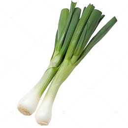 大葱蔬菜葱照片