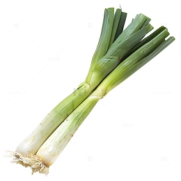 大葱蔬菜葱照片2