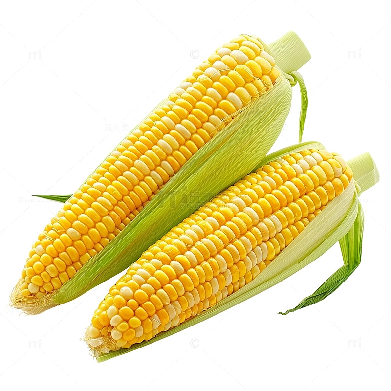 玉米粮食苞谷