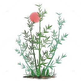 清新翠竹竹笋手绘