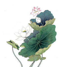 荷花荷叶国风元素