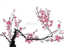 满树的粉色梅花