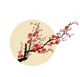 伸出来的一枝梅花