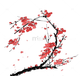 一支绽放的粉色梅花