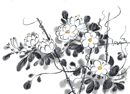 依附树枝的白色花朵
