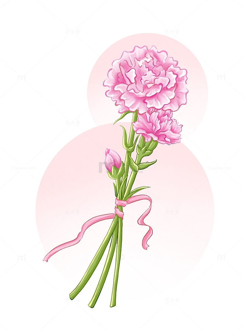 康乃馨花束粉色彩带母亲节