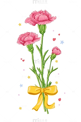 康乃馨花束黄色蝴蝶结母亲节鲜花