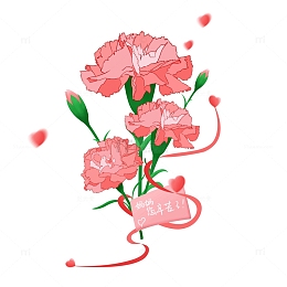 母亲节康乃馨花束