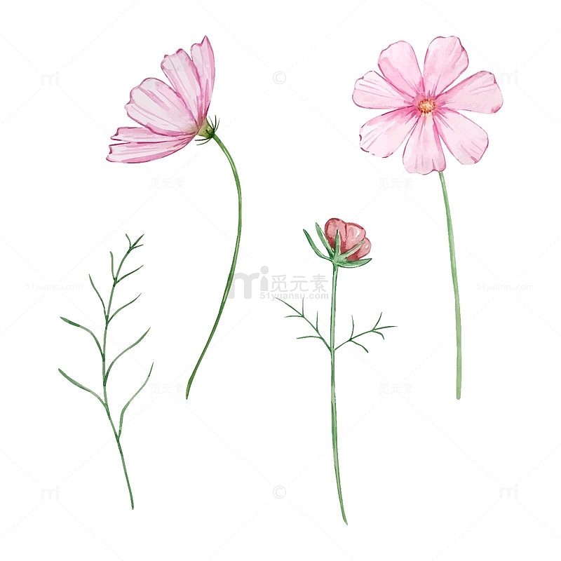 粉色小花的绘画