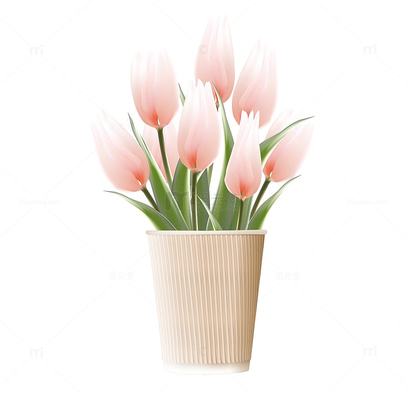 花盆中粉色郁金香花束