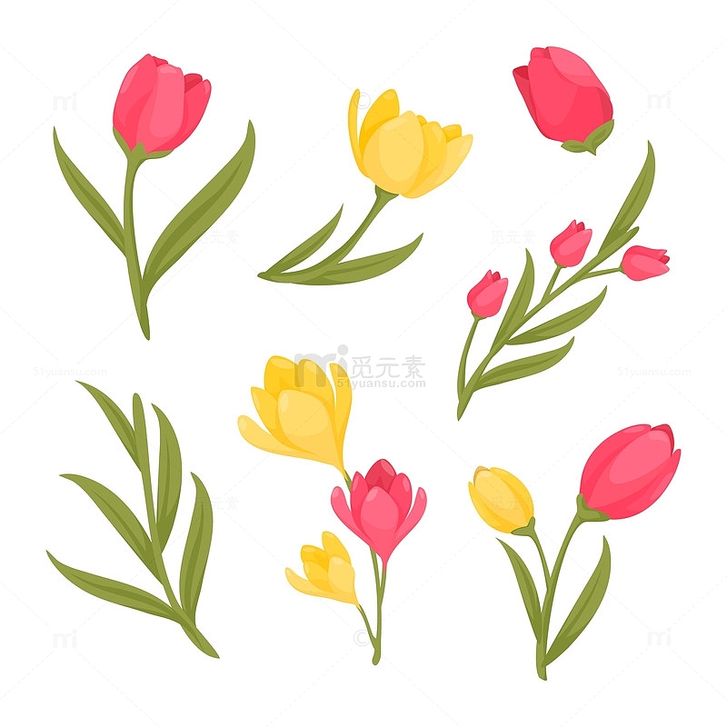 花苞花束组合