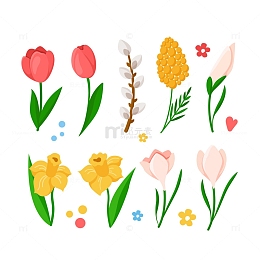 卡通郁金香水仙花含羞草