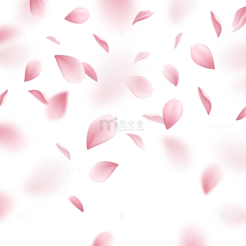 掉落的粉红色樱花花瓣