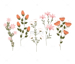 盛开的藤蔓上的花朵