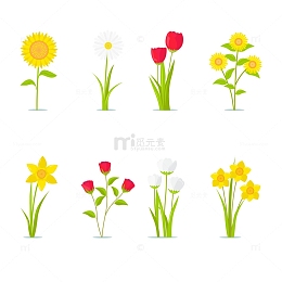盛开的向日葵与郁金香花朵