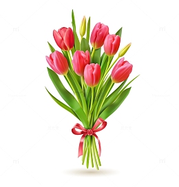 一束打包好的郁金香花束