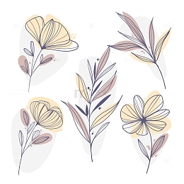 简笔画小花朵