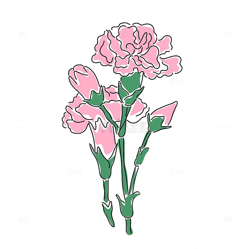 一朵粉色康乃馨花朵