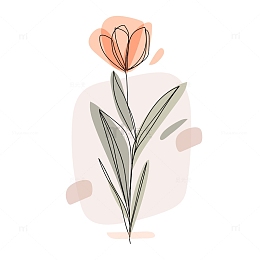 简笔橙色小花