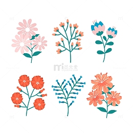 盛开的小花花朵