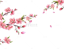 手绘卡通桃花花朵花瓣嫩叶