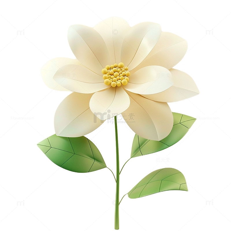 白色立体花朵