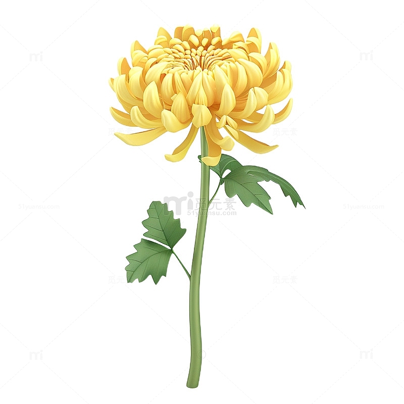 立体黄色菊花